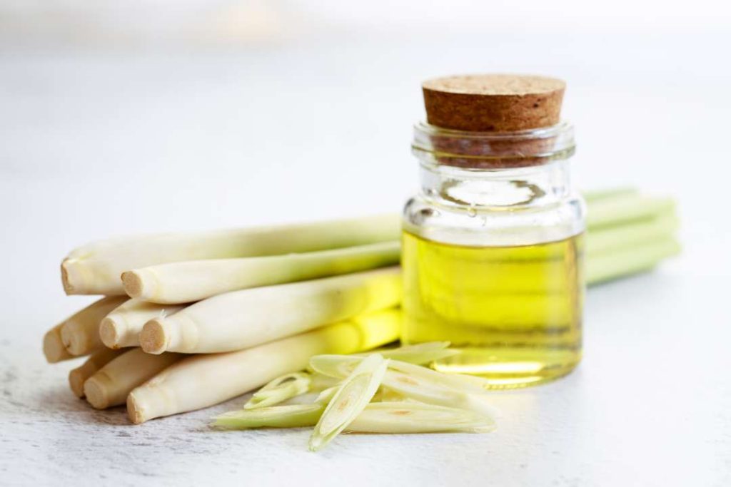 Lemongrass Aromatherapy Oil